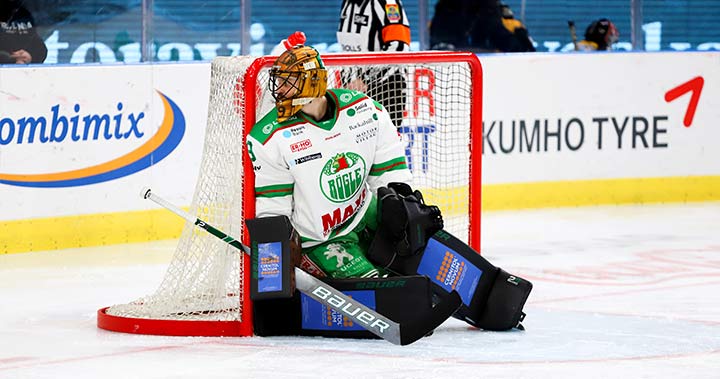 Speltips inför Linköping - Rögle 3 december 2020